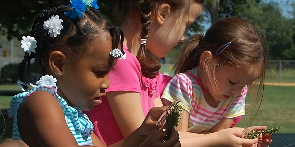3 young girls examine pine needles outdoors