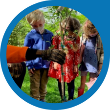 children gather around a tree being planted