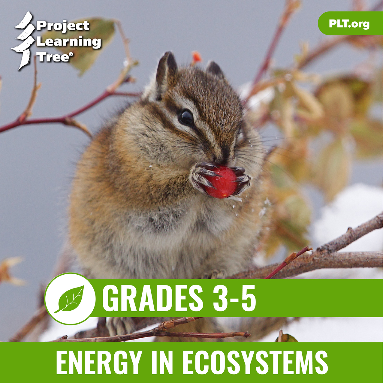 Cover_PLT_eUnit_Energy_Ecosystems