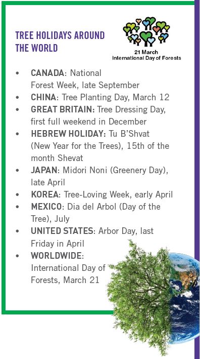 tree-holidays