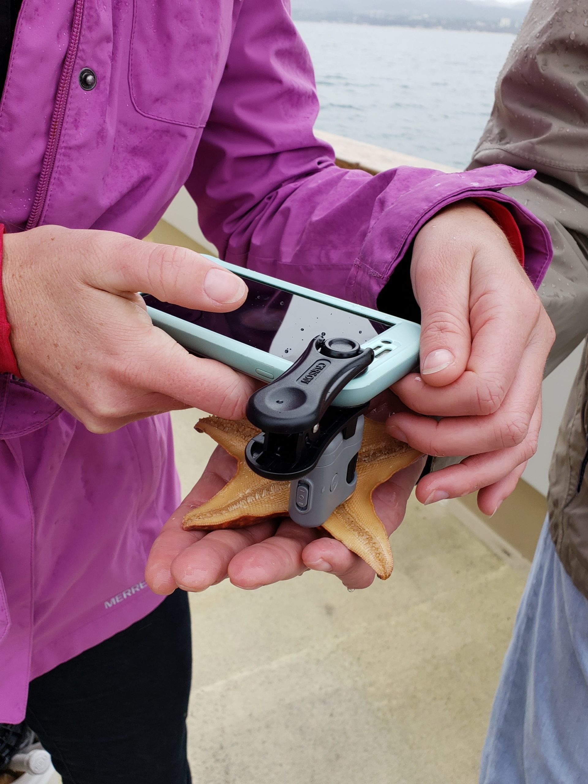 star-fish-smartphone-microscope-adapter