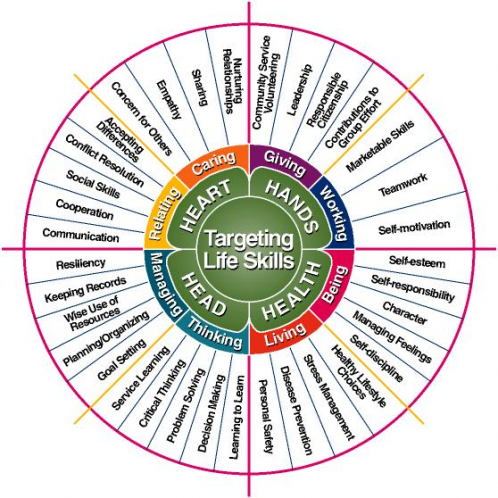 4-H Life Skills wheel