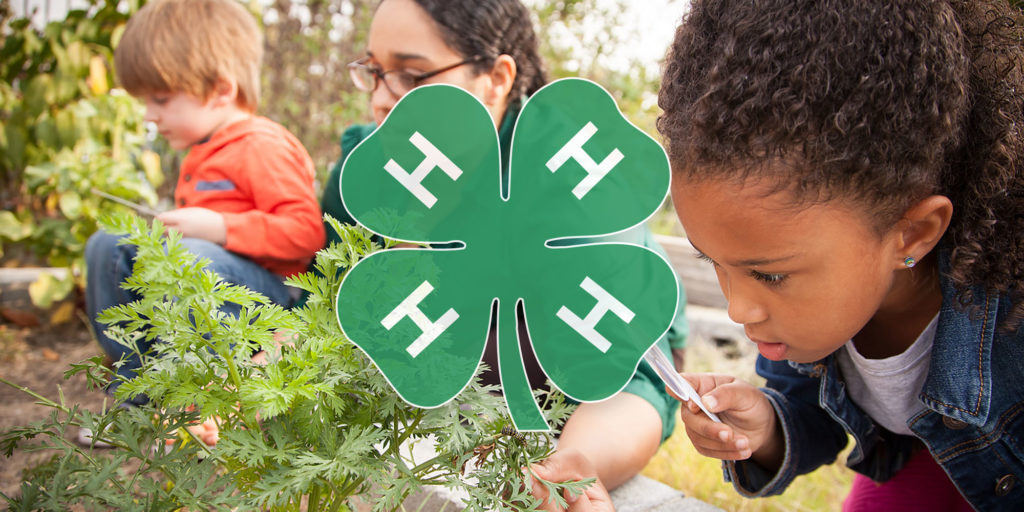 A young girl examines a herb garden with a magnifyer