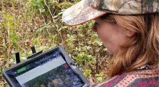 Woman carries an tablet computer in the forest