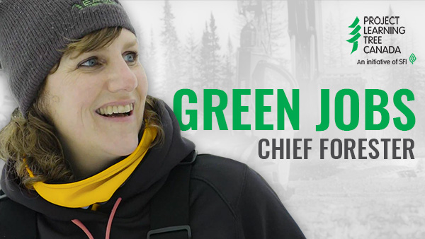Thumbnail of chief forester video