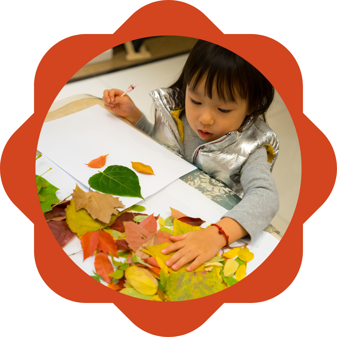 young girl sitting at desk with a pile of freshly collected leaves