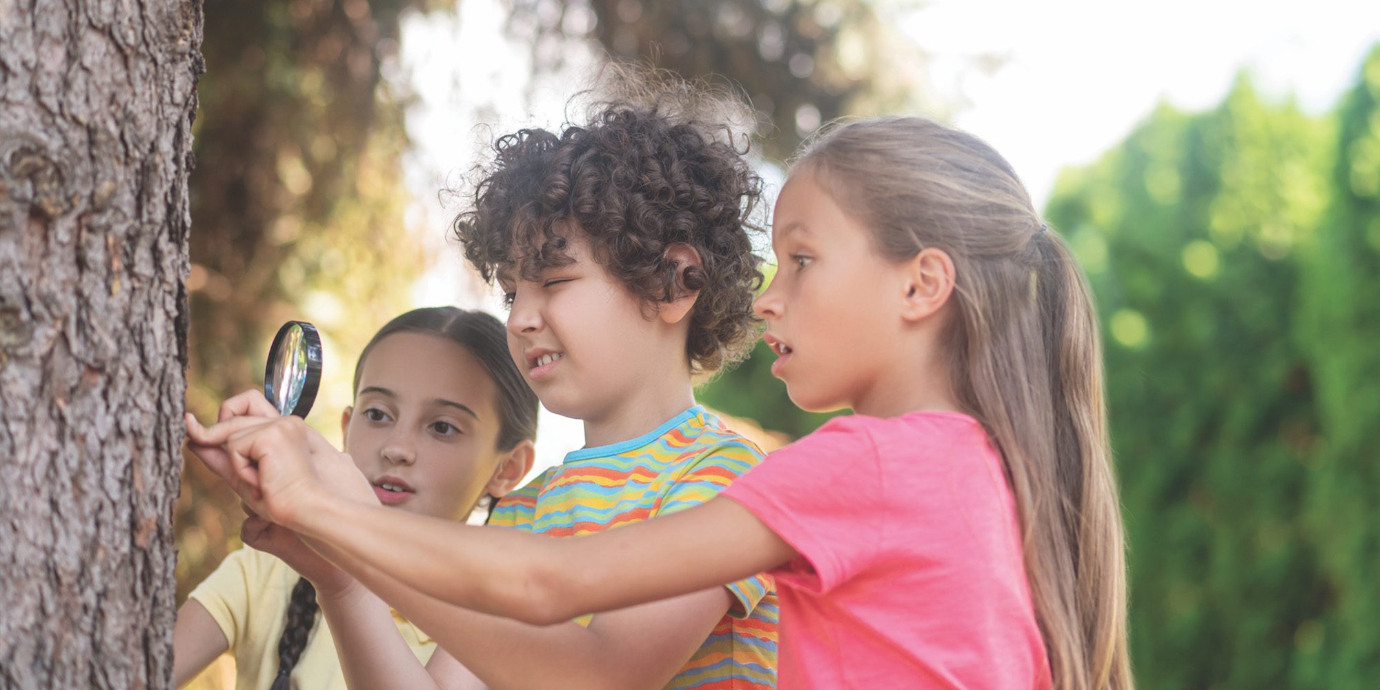 Discovery. Attentive curly-haired boy with magnifying glass looking intently at tree trunk and two surprised girls