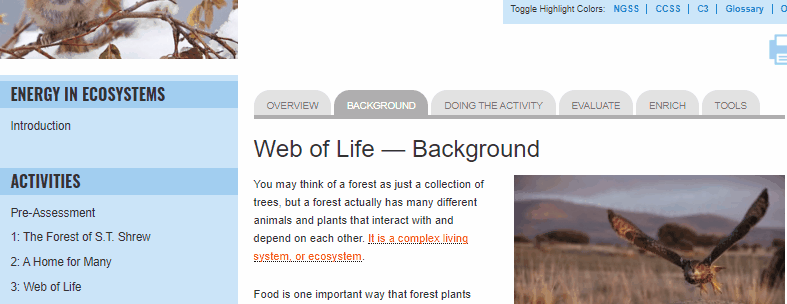 Animated demo of interactive website