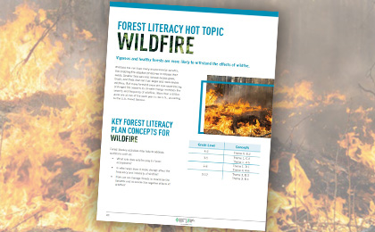 screenshot of forest literacy wildfire pdf