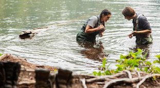Two women in hip waders stand in water with notepads inspecting something beneath the surface