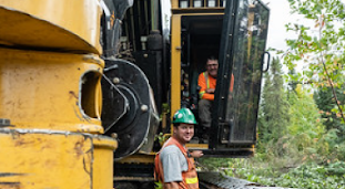 A man in a green hard had stands next to a feller buncher