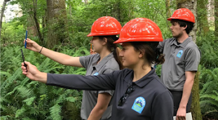 A group of young people in hard hats measure something with special forestry tools