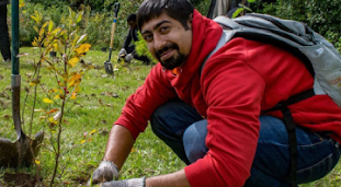 A man in a red sweater plants a tree