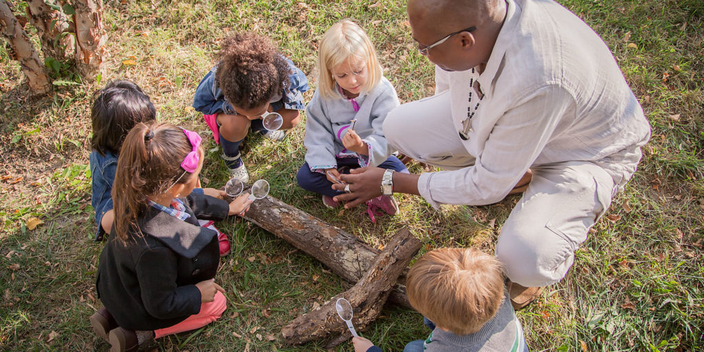 A man and young children examine tree branches on the ground