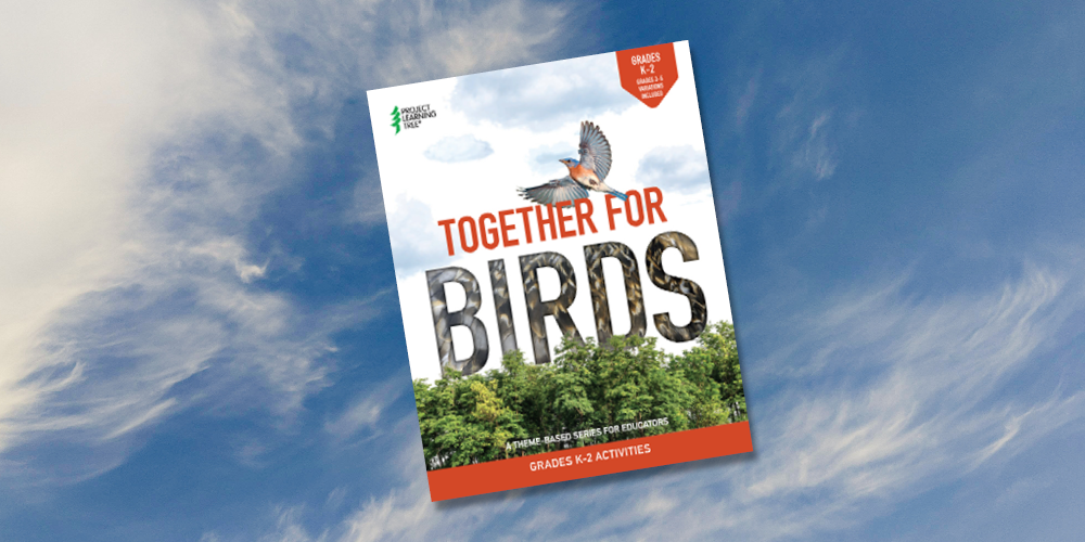 Together for Birds Activity Collection
