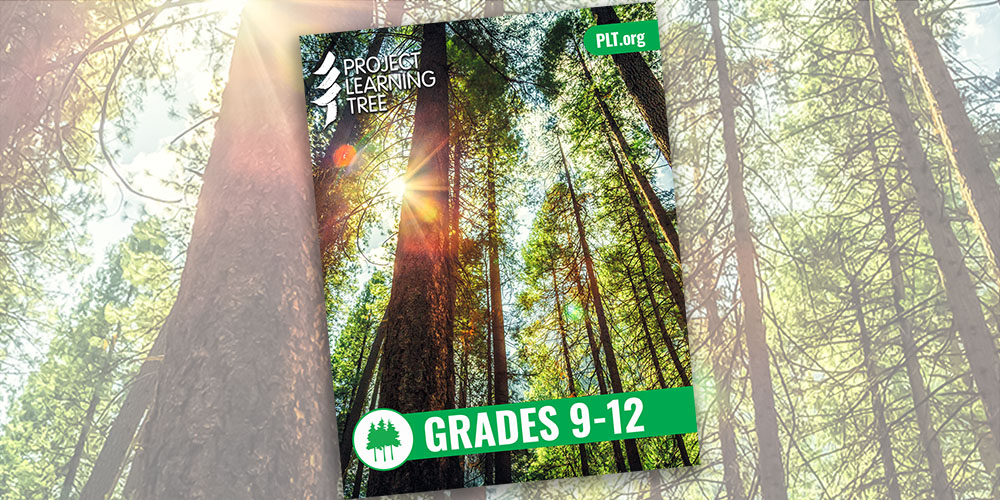 PLT's Southeastern Forests and Climate Change cover in front of a background of a sunlit forest.