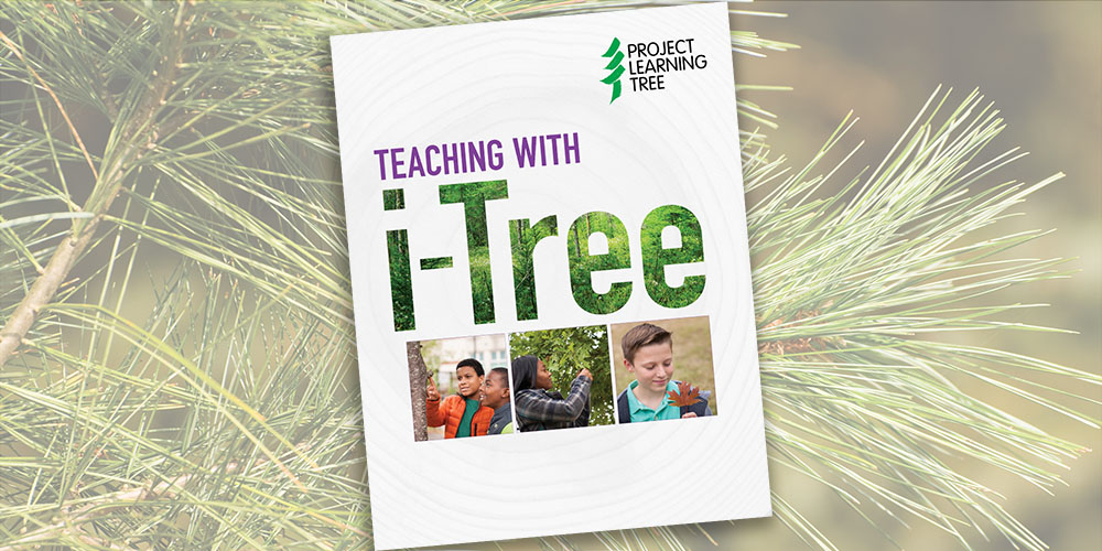 cover of PLT's Teaching with i-Tree activity guide over a background of a closeup of a pine branch