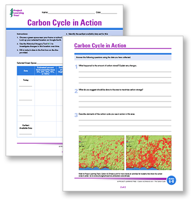 carbon cycle worksheet