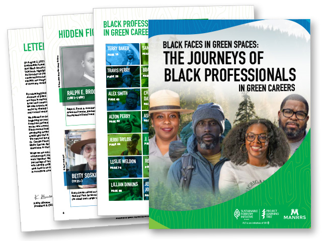 Journeys of Black Professionals pages