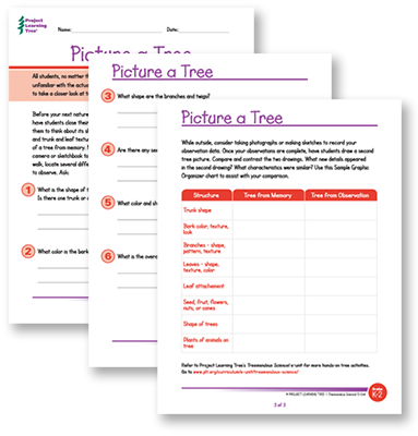 FREE PICTURE A TREE ACTIVITY DOWNLOAD